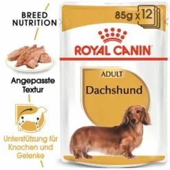 Royal Canin Dachshund Mousse