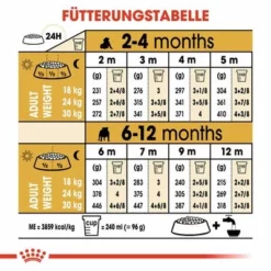 Royal Canin Bulldog Puppy -ZOOPLUS Verkäufe 84439 rc breed bulldog puppy hs 05 4