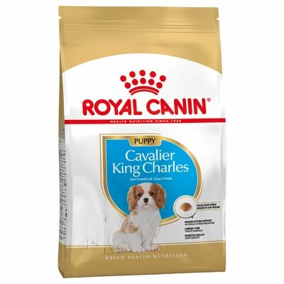 Royal Canin Cavalier King Charles Puppy 4 Royal Canin Cavalier King Charles Puppy – Bild 2
