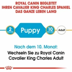 Royal Canin Cavalier King Charles Puppy 15 Royal Canin Cavalier King Charles Puppy -ZOOPLUS Verkäufe 84453 rc cavalier king charles puppy hs 01 5
