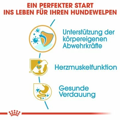 Royal Canin Cavalier King Charles Puppy 6 Royal Canin Cavalier King Charles Puppy – Bild 4