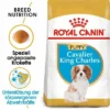 Royal Canin Cavalier King Charles Puppy -ZOOPLUS Verkäufe 84453 rc cavalier king charles puppy mainpic 5