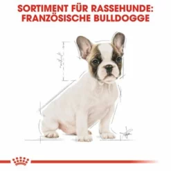 Royal Canin French Bulldog Puppy -ZOOPLUS Verkäufe 84455 rc bhn puppyfrenchbulldog cm eretailkit 4de de 5