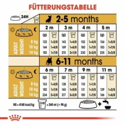 Royal Canin French Bulldog Puppy -ZOOPLUS Verkäufe 84455 rc bhn puppyfrenchbulldog cm eretailkit 5 de de 8