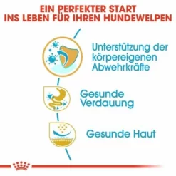 Royal Canin French Bulldog Puppy -ZOOPLUS Verkäufe 84455 rc bhn puppyfrenchbulldog cm eretailkit de de 2