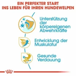 Royal Canin Boxer Puppy -ZOOPLUS Verkäufe 84598 rc breed boxer puppy hs 03 1