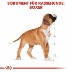 Royal Canin Boxer Puppy -ZOOPLUS Verkäufe 84598 rc breed boxer puppy hs 04 6