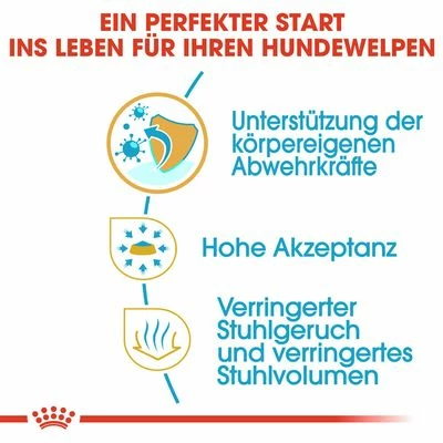 Royal Canin Chihuahua Puppy 6 Royal Canin Chihuahua Puppy – Bild 4