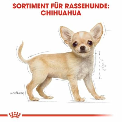Royal Canin Chihuahua Puppy 7 Royal Canin Chihuahua Puppy – Bild 5