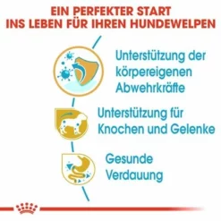 Royal Canin Dachshund Puppy -ZOOPLUS Verkäufe 84603 rc breed dachshund puppy hs 03 4