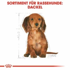 Royal Canin Dachshund Puppy -ZOOPLUS Verkäufe 84603 rc breed dachshund puppy hs 04 6