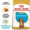Royal Canin Dachshund Puppy -ZOOPLUS Verkäufe 84603 rc breed dachshund puppy mainpic 3