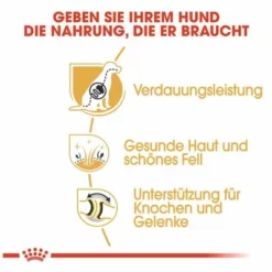 Royal Canin German Shepherd Adult 13 Royal Canin German Shepherd Adult -ZOOPLUS Verkäufe 84716 rc german shepherd adult hs 04 0