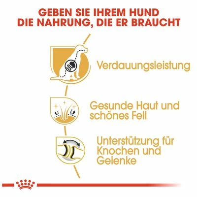 Royal Canin German Shepherd Adult 7 Royal Canin German Shepherd Adult – Bild 5