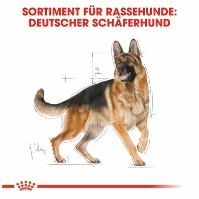 Royal Canin German Shepherd Adult 8 Royal Canin German Shepherd Adult – Bild 6
