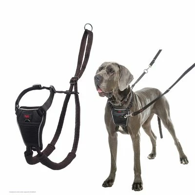 Halti No Pull Harness Trainingsgeschirr 8 Halti No Pull Harness Trainingsgeschirr – Bild 6