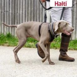 Halti No Pull Harness Trainingsgeschirr 14 Halti No Pull Harness Trainingsgeschirr -ZOOPLUS Verkäufe 92496 92497 halti front control trainingsgeschirr hs 06 7