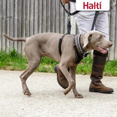 Halti No Pull Harness Trainingsgeschirr 7 Halti No Pull Harness Trainingsgeschirr – Bild 5