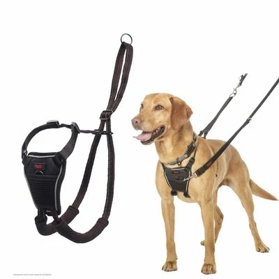 Halti No Pull Harness Trainingsgeschirr 5 Halti No Pull Harness Trainingsgeschirr – Bild 3