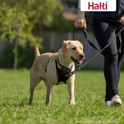 Halti No Pull Harness Trainingsgeschirr 4 Halti No Pull Harness Trainingsgeschirr – Bild 2