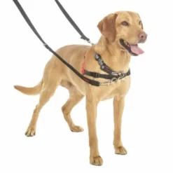 Halti Trainingsleine 15 Halti Trainingsleine -ZOOPLUS Verkäufe 94508 coa halti trainingsleine hs3 8