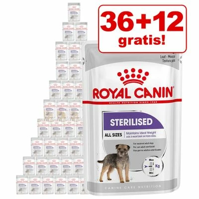 36 + 12 Gratis! 48 X 85 G Royal Canin Mousse 3 36 + 12 Gratis! 48 X 85 G Royal Canin Mousse