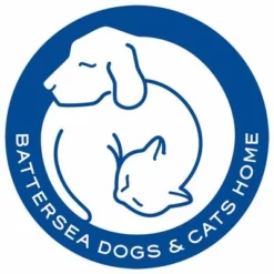 Pet Teezer De-shedding Brush Small 12 Pet Teezer De-shedding Brush Small -ZOOPLUS Verkäufe 99699 newflag petteezer desheddingbrush purple hs 06 4