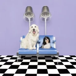 Pet Teezer De-shedding Brush -ZOOPLUS Verkäufe 99699 newflag petteezer desheddingbrush purple hs 09 3