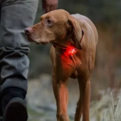 Ruffwear The Beacon™ Safety Light -ZOOPLUS Verkäufe 99714 accapi ruffwear the beacon safety light hs 15 7