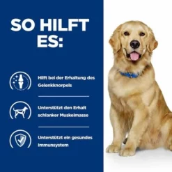 Hill's Prescription Diet J/d Joint Care Mit Huhn 17 Hill's Prescription Diet J/d Joint Care Mit Huhn -ZOOPLUS Verkäufe atf 605645 how it helps 8