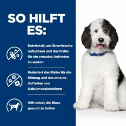 Hill's Prescription Diet C/d Multicare Huhn & Gemüse Ragout -ZOOPLUS Verkäufe atf 606412 how it helps 1
