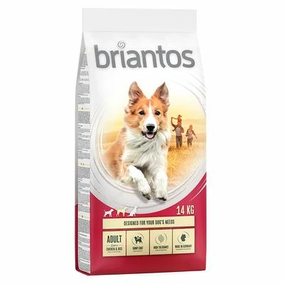 Briantos Sparpaket (2 X Großgebinde) 8 Briantos Sparpaket (2 X Großgebinde) – Bild 6