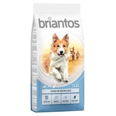 Briantos Sparpaket (2 X Großgebinde) 13 Briantos Sparpaket (2 X Großgebinde) – Bild 11