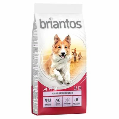 Briantos Sparpaket (2 X Großgebinde) 10 Briantos Sparpaket (2 X Großgebinde) – Bild 8