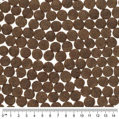 Probierpaket: Briantos Getreidefrei 2 X 1 Kg 8 Probierpaket: Briantos Getreidefrei 2 X 1 Kg – Bild 6