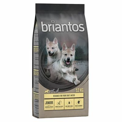 Briantos Sparpaket (2 X Großgebinde) 7 Briantos Sparpaket (2 X Großgebinde) – Bild 5