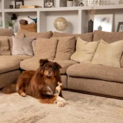 Pet Head Sensitive Soul 28 Pet Head Sensitive Soul -ZOOPLUS Verkäufe companyofanimals pethead sensitivesoul set3teilig hs 08 9