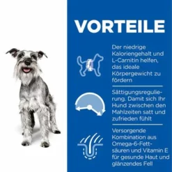 Hill's Science Plan Mature Adult 7+ Small & Mini Light Mit Huhn -ZOOPLUS Verkäufe de dog ma s m light chicken transition benefits 3