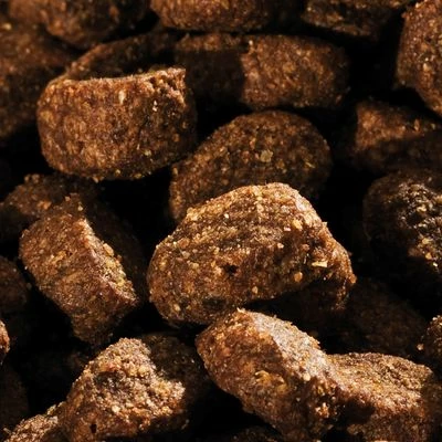 Happy Dog NaturCroq Active 6 Happy Dog NaturCroq Active – Bild 4