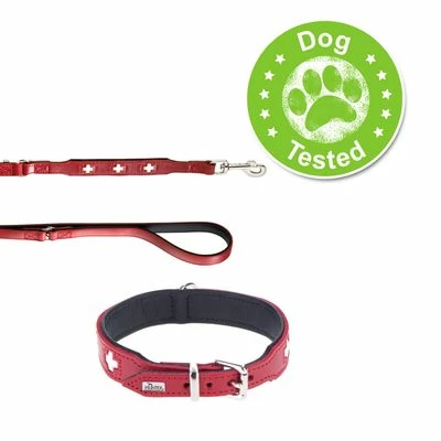 HUNTER Set: Halsband Swiss + Hundeleine Swiss 7 HUNTER Set: Halsband Swiss + Hundeleine Swiss – Bild 5