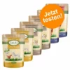 6 X 300 G Lukullus Naturkost Adult Getreidefreier Probiermix 1 6 X 300 G Lukullus Naturkost Adult Getreidefreier Probiermix -ZOOPLUS Verkäufe jetzt testen probierpaket 1000x1000 de 1 2