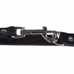 Heim Führleine, Genietet, Schwarz -ZOOPLUS Verkäufe lederleinen 32 5