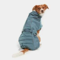 Nomad Tales Spirit Softshell-Hundemantel Pacificneu -ZOOPLUS Verkäufe nt pacific1 1
