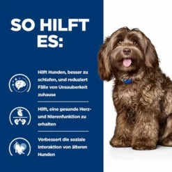 Hill's Prescription Diet B/d Ageing Care Trockenfutter Für Hunde Mit Huhn -ZOOPLUS Verkäufe pd bd dog bk28322m how helps de 4