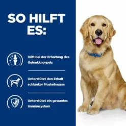 Hill's Prescription Diet J/d Nassfutter Für Hunde Mit Huhn 23 Hill's Prescription Diet J/d Nassfutter Für Hunde Mit Huhn -ZOOPLUS Verkäufe pd jd dog bk25363m bk30425 how helps de 2