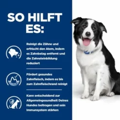 Hill's Prescription Diet T/d Dental Care Mit Huhn -ZOOPLUS Verkäufe pd td dog bk27208m how helps de 1 3
