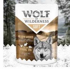 Wolf Of Wilderness Adult 6 X 300 G - Pouch