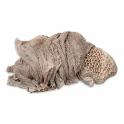 ProCani Verdauungs-Paket 22 ProCani Verdauungs-Paket -ZOOPLUS Verkäufe pricani buynature blaettermagen pansen rohstoffe 2