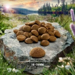 Übergangsset! Purizon- Getreidefrei Für Welpen Und Erwachsene Hunde 28 Übergangsset! Purizon- Getreidefrei Für Welpen Und Erwachsene Hunde -ZOOPLUS Verkäufe purizon hund adult large chicken 18 19 mm 7