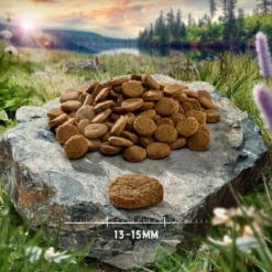 Purizon Single Meat Probierpaket 3 X 1 Kg -ZOOPLUS Verkäufe purizon hund adult singlemeat chicken 13 15 mm 8